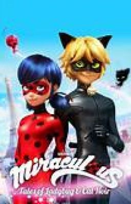 Miraculous: Tales of Ladybug, Pave Blanc & Chat Noir| COMPLETED BUT DISCONTINUED