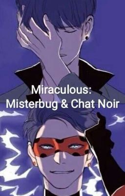 Miraculum: Misterbug & Chat Noir. Wersja Yaoistyczna