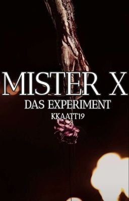 Mister X - Das Experiment