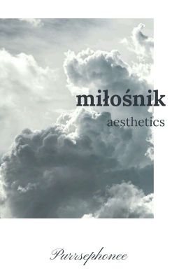 | MIŁOŚNIK || aesthetics |