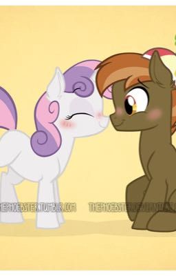 MLP pictures