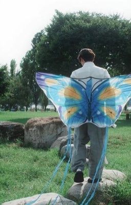 mnz; sunflower still grows at night