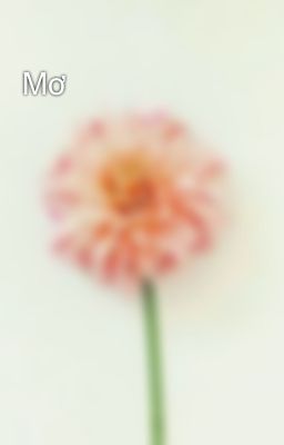 Mơ