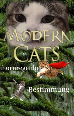 Modern Cats: Einhornregenherz's Bestimmung