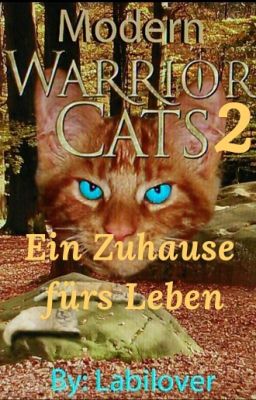 Modern WarriorCats 2 - Ein Zuhause fürs Leben