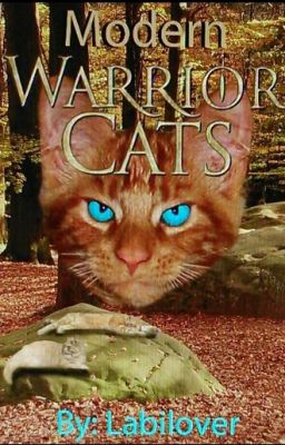 Modern WarriorCats - Die etwas andere wahre Geschichte #crimson