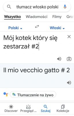 Mój kotek który budzi mnie o 4.00 #2