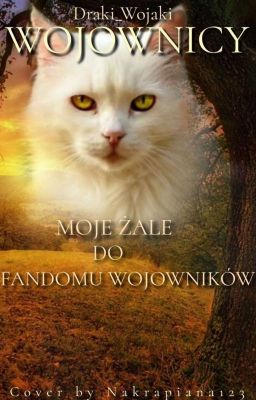 Moje żale do fandomu wojowników