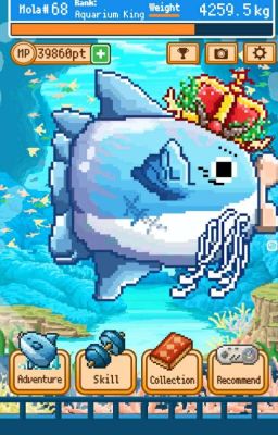 Mola Mola Survive log