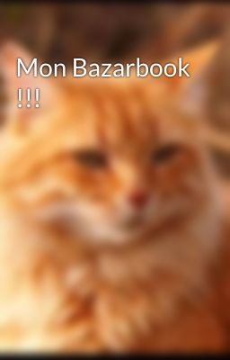 Mon Bazarbook !!!