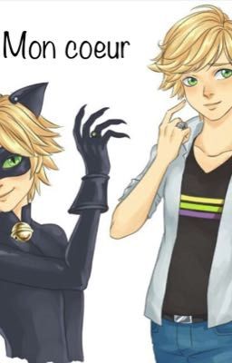 Mon coeur ~ Adrien/Chat Noir x reader