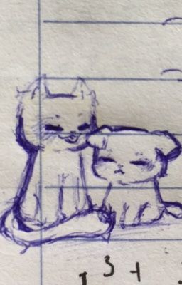 Môn đăng hộ đối 🤓☝️