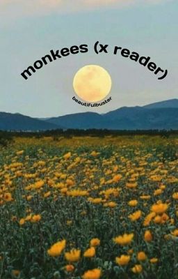 ♧ 》monkees (× reader)《 ♧