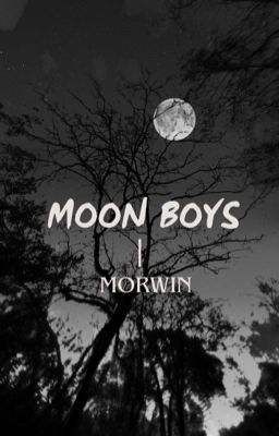 Moon boys... / Erwin ~ Montanha / ONESHOT