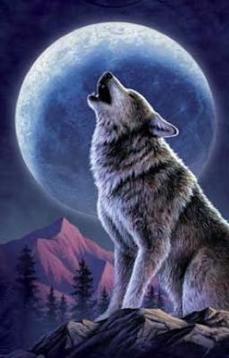 Moonlight~ A Wolf Story~