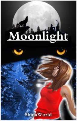 Moonlight (Holdfény)