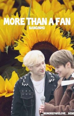 more than a fan [Banginho/Minchan] ✓