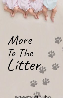 More To The Litter