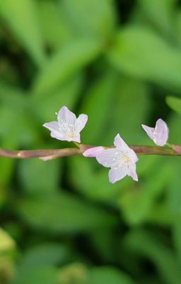 Một chuyện khác với bình thường.