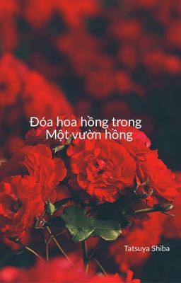 Một đáo hoa hồng trong một vườn hồng