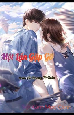 Một Lần Gặp Gỡ