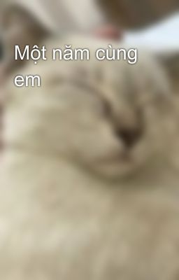 Một năm cùng em