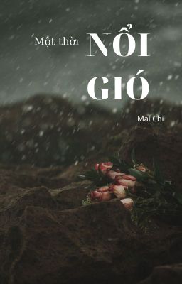 Một thời nổi gió