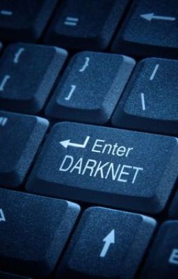 Một Trang Darkweb Đã Biến Mất Và Đó Là Lỗi Của Tôi !!!