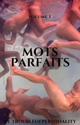 MOTS PARFAITS