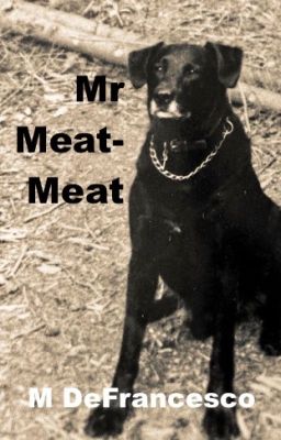 Mr Meat-Meat