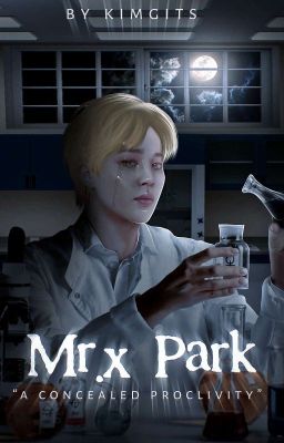 Mr. X Park