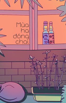 Mùa hạ đóng chai