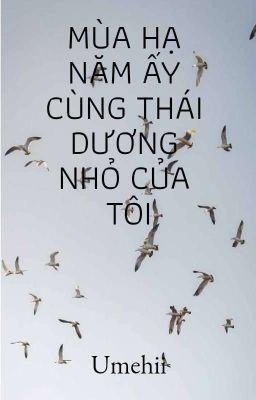 Mùa Hạ Năm Ấy Cùng Tiểu Thái Dương Của Tôi