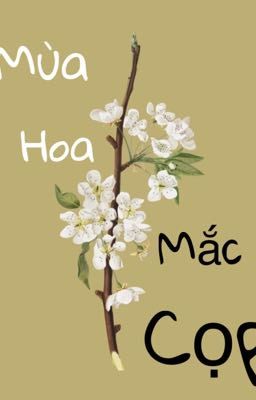 Mùa Hoa Mắc cọp