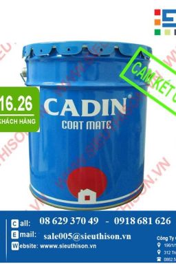 MUA SƠN CHỐNG NÓNG MÁI TÔN CADIN GIÁ RẺ NHẤT TẠI TPHCM?