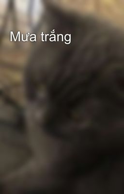 Mưa trắng