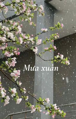 Mưa xuân - End.