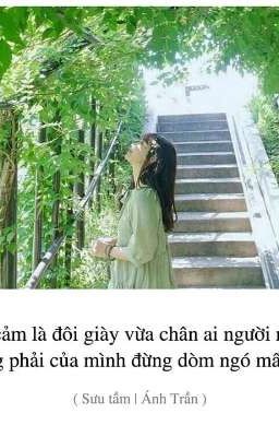 Mùa xuân vẫn còn sao cậu đâu mất