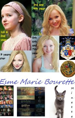 Muggle-Born Princess: HPF