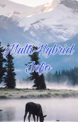 Multi-Hybrid Info