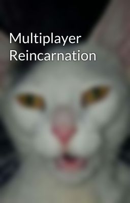 Multiplayer Reincarnation 