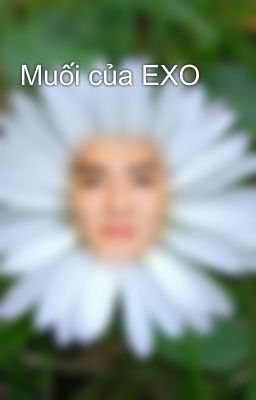 Muối của EXO 