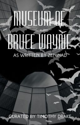 Museum Of Bruce Wayne (Curated by Tim Drake)