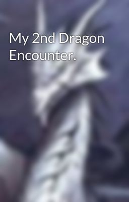 My 2nd Dragon Encounter.