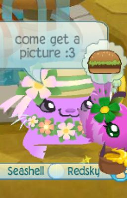 My AnimalJam Random Stuff