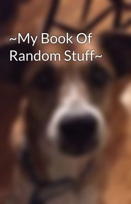 ~My Book Of Random Stuff~