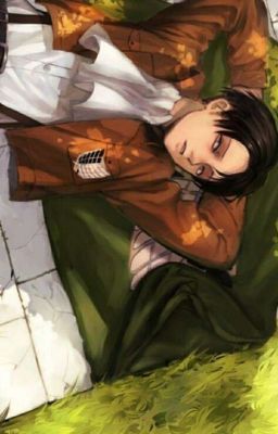 My Cadet (Levi Ackerman × Reader)