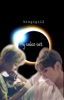 My Calico Cat { Jikook }