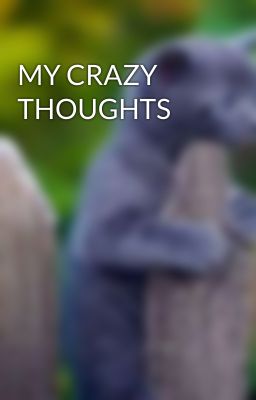 MY CRAZY THOUGHTS 