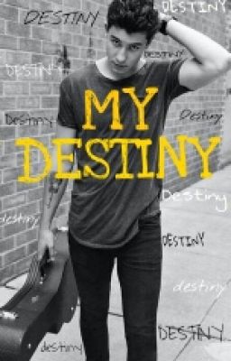 My Destiny || Shawn Mendes